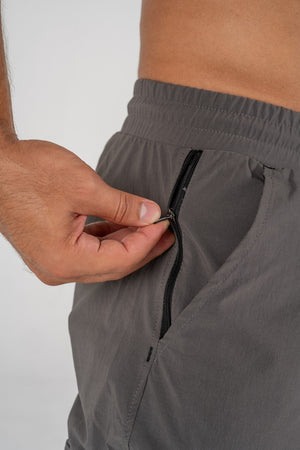 Bodega Gray Pants